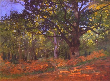 Die Bodmer Eiche Fontainebleau Claude Monet Ölgemälde